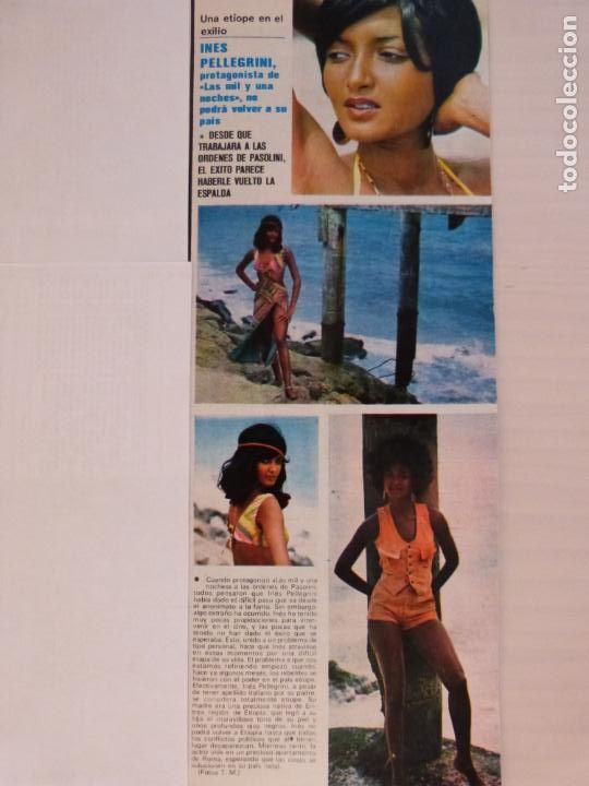 Coleccionismo de Revistas y Peri&oacute;dicos: RECORTE CLIPPING DE INES PELLEGRINI REVISTA SEMANA N&ordm; 1851 PAG. 15 L14