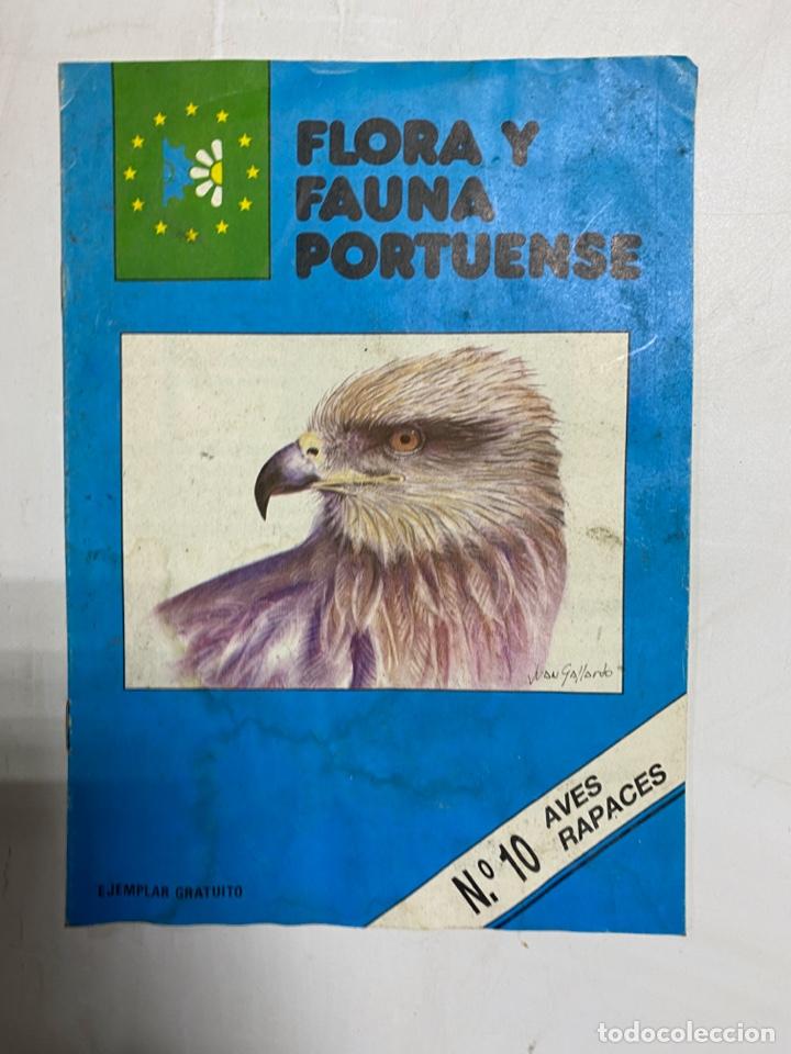 Coleccionismo de revistas y peri&oacute;dicos: FLORA Y FAUNA PORTUENSE. N&ordm; 10. AVES RAPACES. EDITORA IMUCONA.