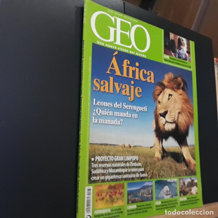 Coleccionismo de revistas y peri&oacute;dicos: GEO N&ordm; 278 &Aacute;FRICA SALVAJE, LEONES DEL SERENGUETI. FOTOGRAF&Iacute;A: PLANTAS DE EUROPA. VANCOUVER. VIAJE: D