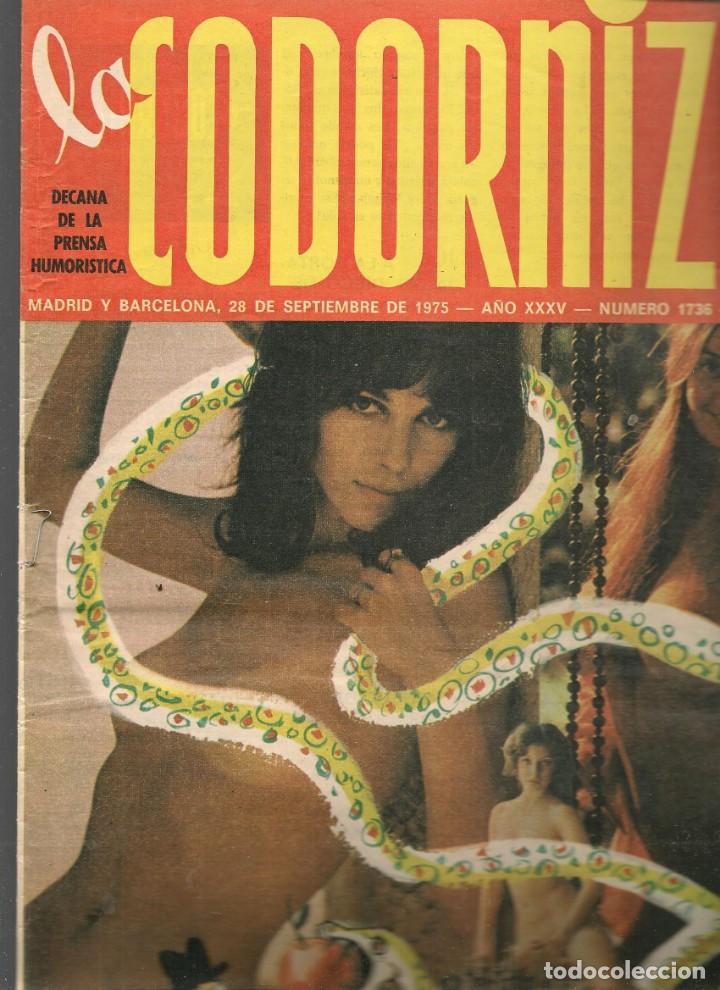 Coleccionismo de Revistas y Peri&oacute;dicos: LA CODORNIZ. N&ordm; 1736. ESPECIAL DEDICADO A PLAY BOY. 28 SEPTIEMBRE 1975. (B/A48).