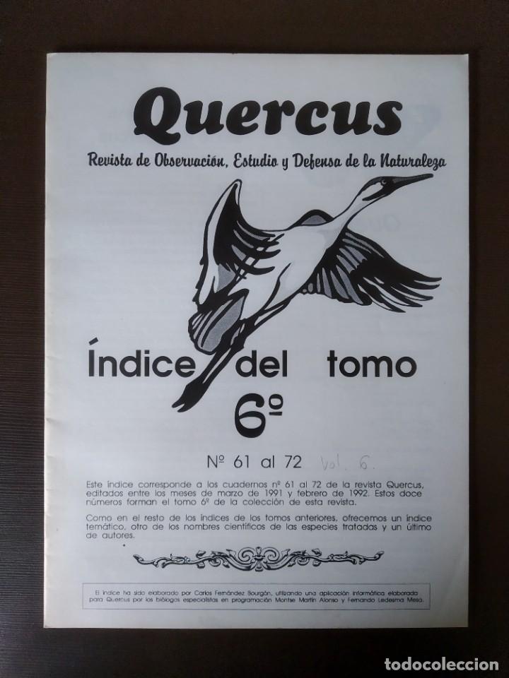 Coleccionismo de revistas y peri&oacute;dicos: INDICE REVISTAS QUERCUS TOMO 6