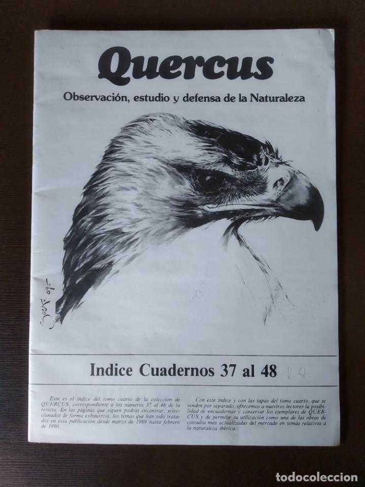 Coleccionismo de revistas y peri&oacute;dicos: INDICE REVISTAS QUERCUS TOMO 4