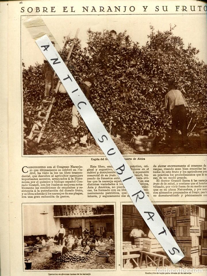 Coleccionismo de revistas y peri&oacute;dicos: REVISTA A&Ntilde;O 1927 EDUARDO MARQUINA MANUEL DE FALLA ENRIC GINESTA DE CARLET NARANJAS DE ALCIRA FOTOS