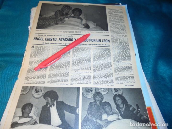Coleccionismo de Revistas y Peri&oacute;dicos: RECORTE : ANGEL CRISTO, ATACADO POR UN LEON. BARBARA REY. SEMANA, DCMBRE 1980 (#)