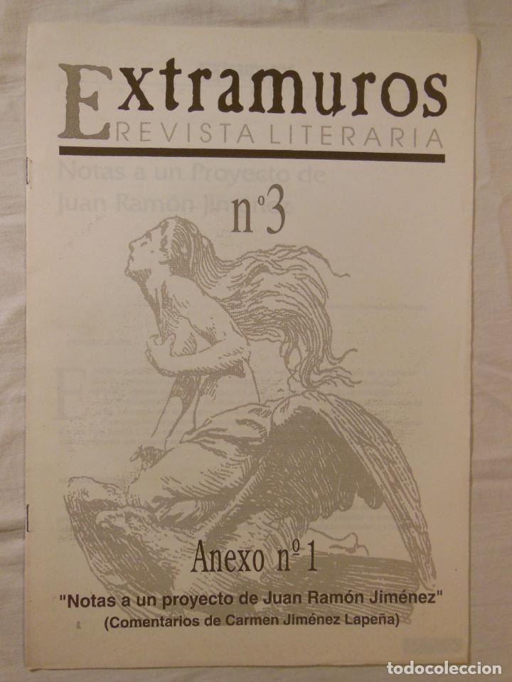 Coleccionismo de Revistas y Peri&oacute;dicos: EXTRAMUROS. Revista Literaria n&uacute;m 3. Anexo n&uacute;m 1. 1996. Notas a un proyecto de Juan Ram&oacute;n Jim&eacute;nez