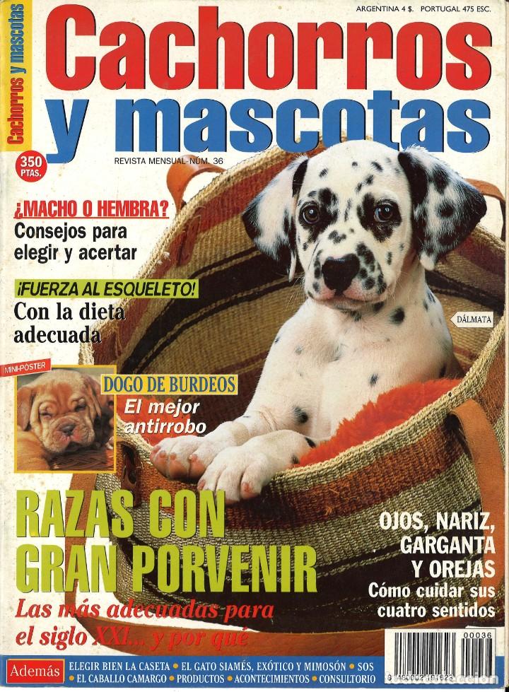 Collection Magazines and Newspapers: Cachorros y mascotas. 36.