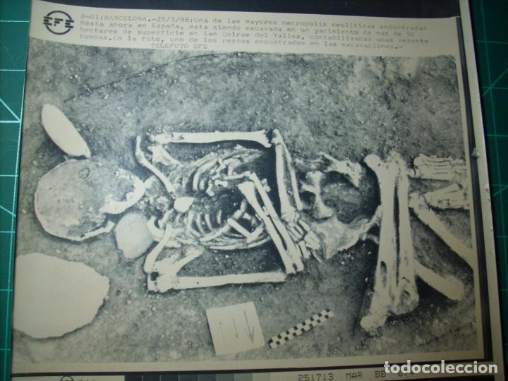 Coleccionismo de Revistas y Peri&oacute;dicos: BARCELONA25-03-1988 - NECROPOLI NEOLITICA SAN QUIRZE DEL VALLES-FOTO TELETIPO TELEFOTO EFE