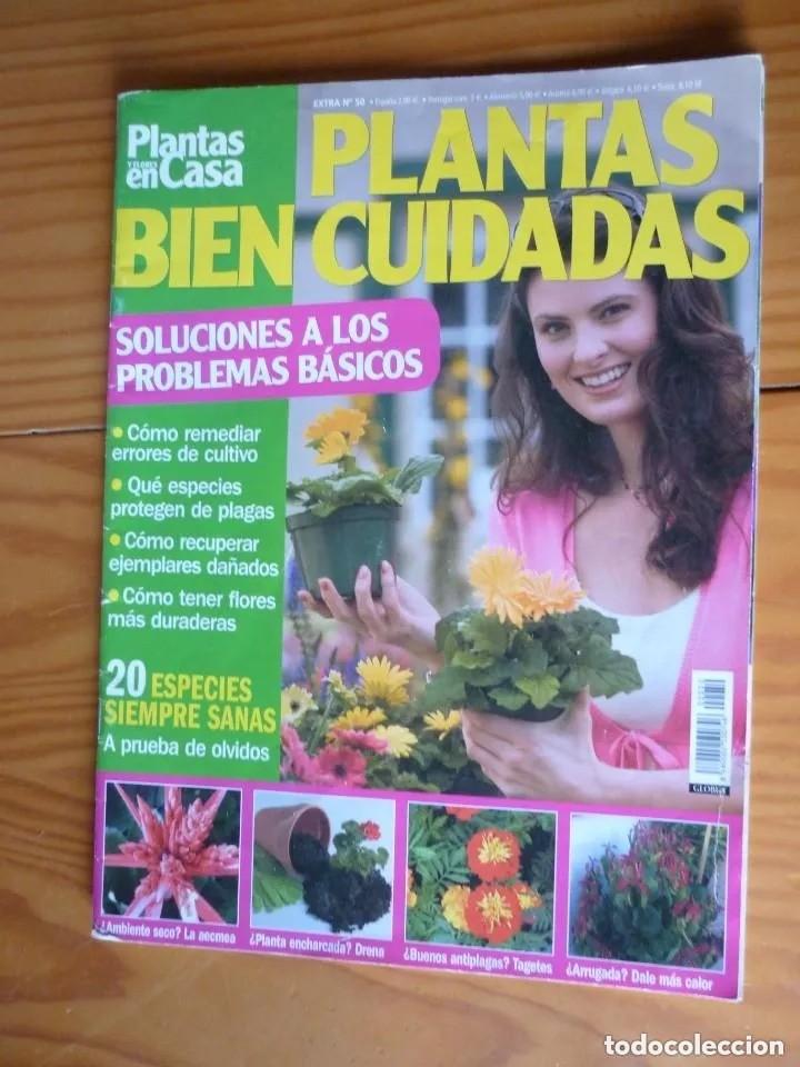 Colecionismo de Revistas e Jornais: REVISTA PLANTAS EN CASA. Plantas bien cuidadas. EXTRA N&ordm; 50