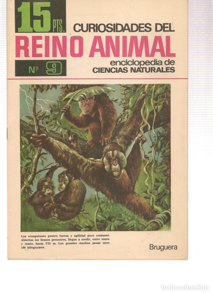 Collezionismo di Riviste e Giornali: CURIOSIDADES DEL REINO ANIMAL. ENCICLOPEDIA DE LAS CIENCIAS NATURALES. N&ordm; 9. BRUGUERA, 1966 (P/B1)