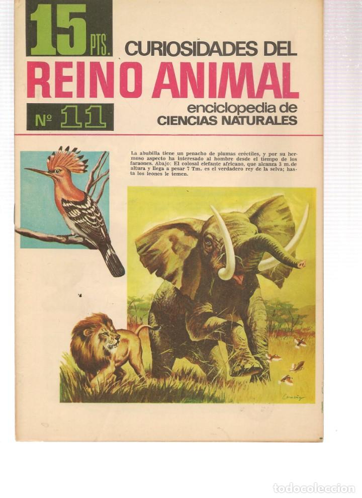 Collezionismo di Riviste e Giornali: CURIOSIDADES DEL REINO ANIMAL. ENCICLOPEDIA DE LAS CIENCIAS NATURALES. N&ordm; 11. BRUGUERA, 1966 (P/B1)