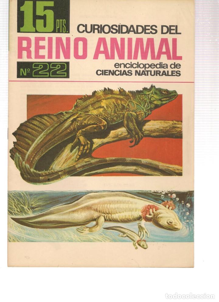Collezionismo di Riviste e Giornali: CURIOSIDADES DEL REINO ANIMAL. ENCICLOPEDIA DE LAS CIENCIAS NATURALES. N&ordm; 22. BRUGUERA, 1966 (P/B1)