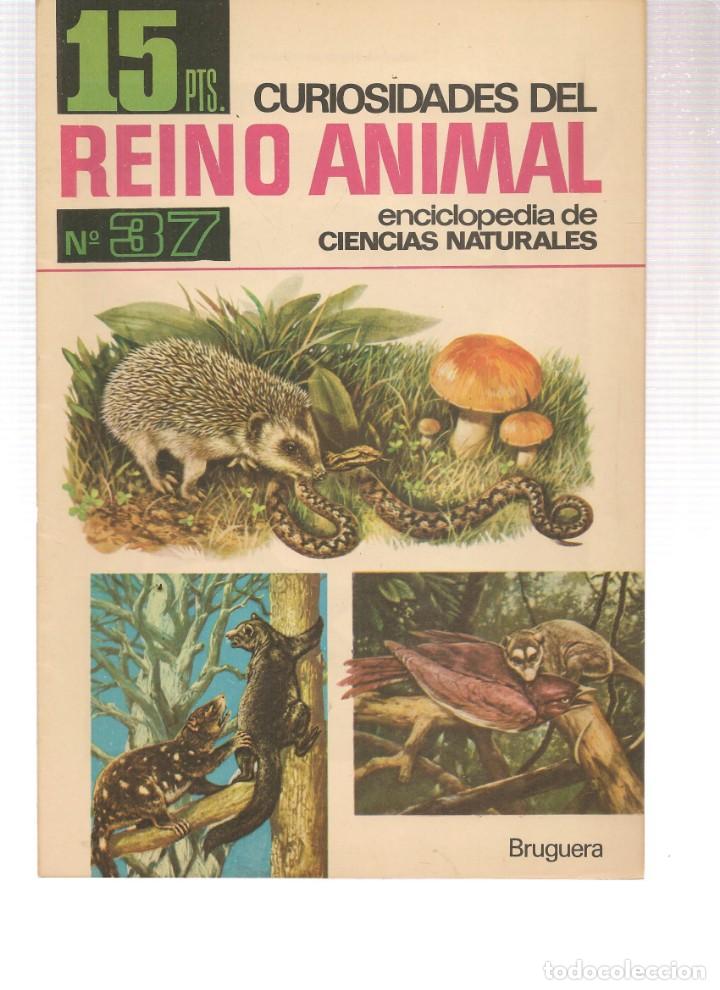 Collezionismo di Riviste e Giornali: CURIOSIDADES DEL REINO ANIMAL. ENCICLOPEDIA DE LAS CIENCIAS NATURALES. N&ordm; 37. BRUGUERA, 1966 (P/B1)