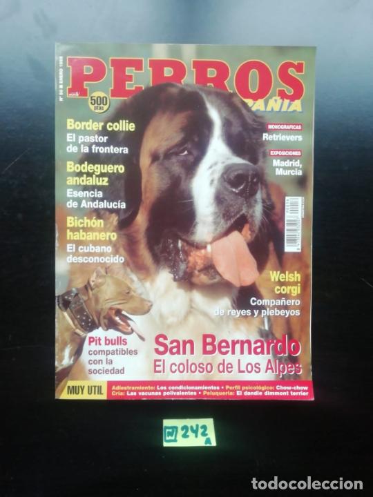 Perros