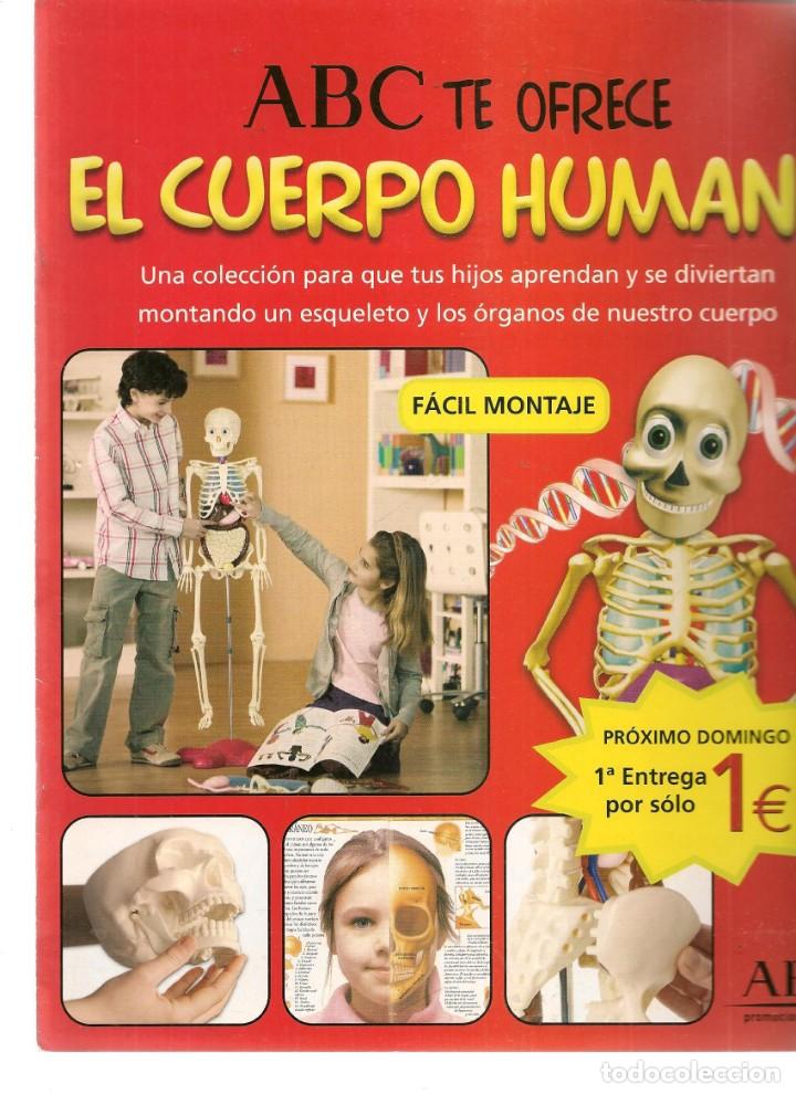 Coleccionismo de Revistas y Peri&oacute;dicos: EL CUERPO HUMANO. ABC. FASC&Iacute;CULO PRESENTACI&Oacute;N DE LA OBRA. (T/19)