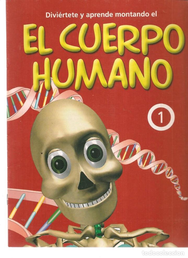 Coleccionismo de Revistas y Peri&oacute;dicos: DIVIERTETE Y APRENDE MONTANDO EL CUERPO HUMANO. FASC&Iacute;CULO N&ordm; 1. ABC. (T/19)