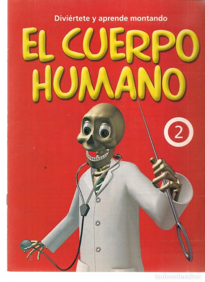 Coleccionismo de Revistas y Peri&oacute;dicos: DIVIERTETE Y APRENDE MONTANDO EL CUERPO HUMANO. FASC&Iacute;CULO N&ordm; 2. ABC. (T/19)