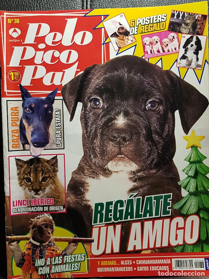 Coleccionismo de revistas y peri&oacute;dicos: PELO PICO PATA - REVISTA - NUMERO 38 - EXCELENTE - 6 POSTERS - ANTENA 3