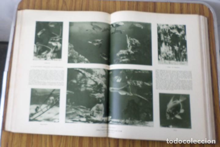 Coleccionismo de revistas y peri&oacute;dicos: L&acute;ILLUSTRATION 1925 enero a junio - Foto 5