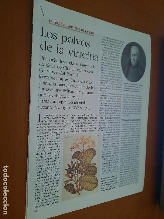 Coleccionismo de revistas y peri&oacute;dicos: LA QUINA. MEDICINA. 4 P&Aacute;GINAS. ARTICULO EXTRAIDO DE UNA REVISTA. GRAPADO. BUEN ESTADO