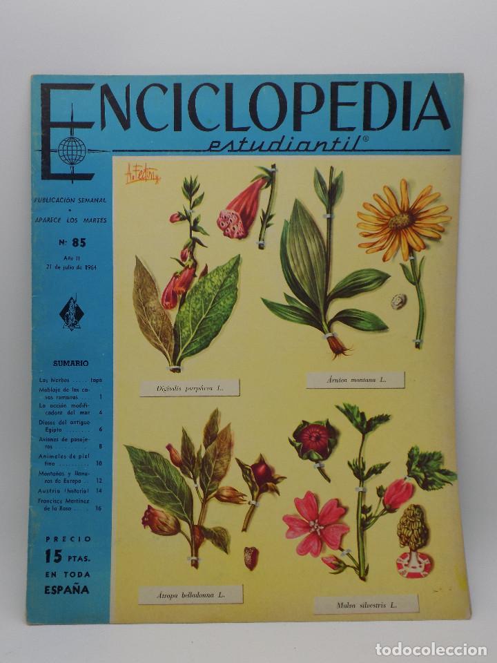 Colecionismo de Revistas e Jornais: ENCICLOPEDIA ESTUDIANTIL N.85