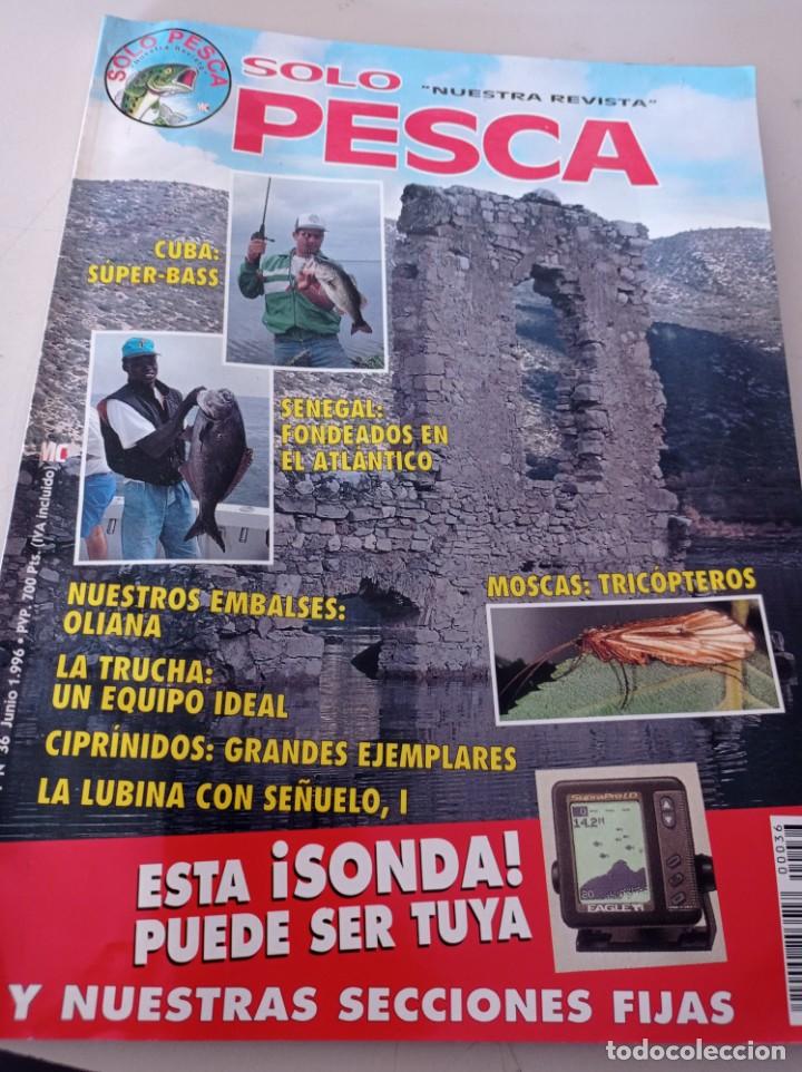 Collectionnisme de Revues et Journaux: REVISTA SOLO PESCA, N&ordm; 36, JUNIO 1996 REF. GAR 333