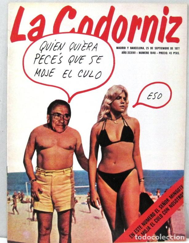 Coleccionismo de Revistas y Peri&oacute;dicos: LA CODORNIZ - N&ordm; 1840 - SEPTIEMBRE 1977 - REVISTA