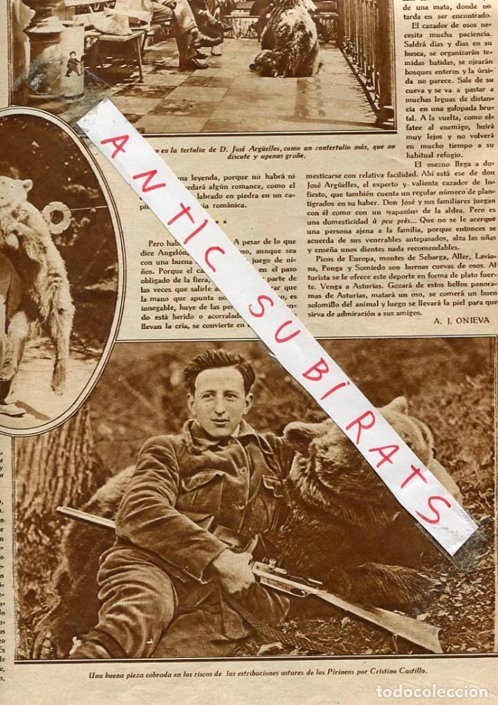 Sammeln von Zeitschriften und Zeitungen: REVISTA A&Ntilde;O 1929 LA CAZA DEL OSO OSOS EN EL PIRINEO ASTURIAS ANGELON CERREDO JOSE ARGUELLES CASTILLO