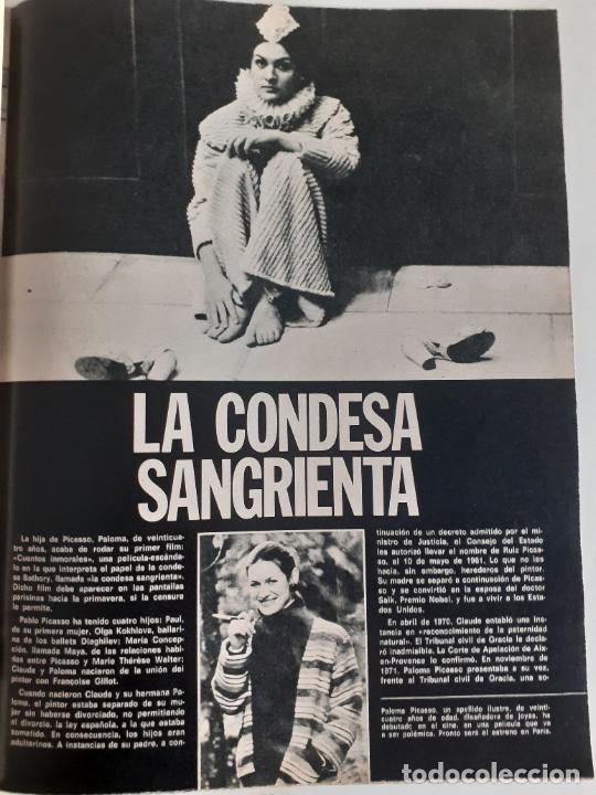Coleccionismo de Revistas y Peri&oacute;dicos: paloma picasso