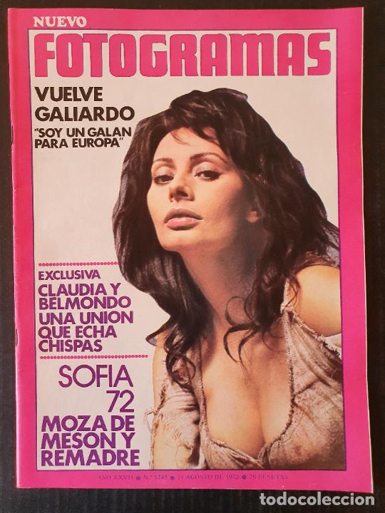 Coleccionismo de Revistas y Peri&oacute;dicos: REVISTA FOTOGRAMAS N&ordm; 1243 - PORTADA SOFIA LOREN - CLAUDIA Y BELMONDO - POSTER TATIANA BELINDA