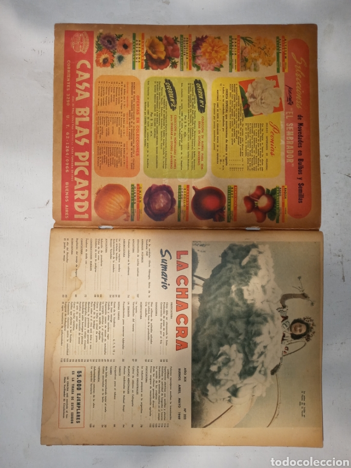 Coleccionismo de Revistas y Periódicos: LOTE 2 REVISTAS LA CHACRA 1949 - Foto 4 - 259002340