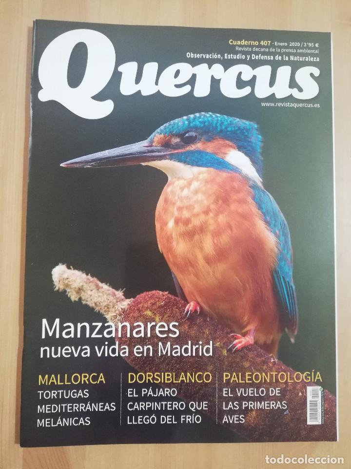 Collezionismo di Riviste e Giornali: REVISTA QUERCUS N&ordm; 407 (ENERO 2020) OBSERVACI&Oacute;N, ESTUDIO Y DEFENSA DE LA NATURALEZA