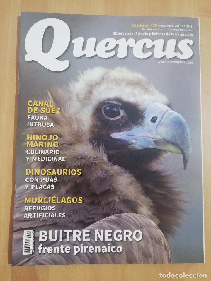 Colecionismo de Revistas e Jornais: REVISTA QUERCUS N&ordm; 405 (NOVIEMBRE 2019) OBSERVACI&Oacute;N, ESTUDIO Y DEFENSA DE LA NATURALEZA