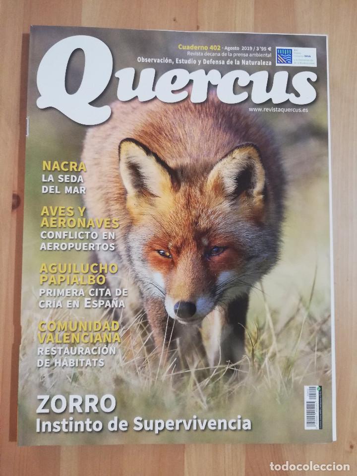 Collezionismo di Riviste e Giornali: REVISTA QUERCUS N&ordm; 402 (AGOSTO 2019) OBSERVACI&Oacute;N, ESTUDIO Y DEFENSA DE LA NATURALEZA
