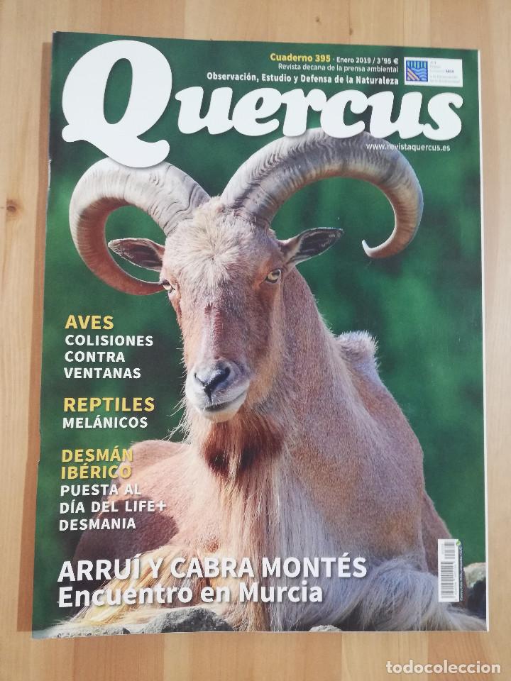 Colecionismo de Revistas e Jornais: REVISTA QUERCUS N&ordm; 395 (ENERO 2019) OBSERVACI&Oacute;N, ESTUDIO Y DEFENSA DE LA NATURALEZA