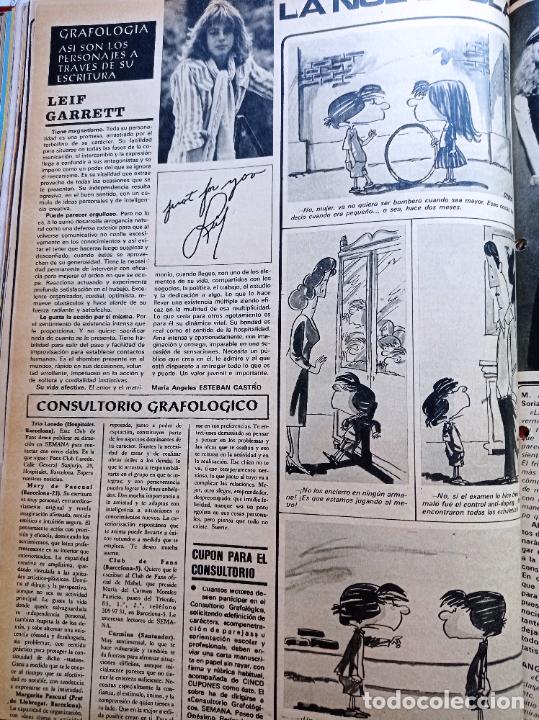 Sammeln von Zeitschriften und Zeitungen: LEIF GARRETT