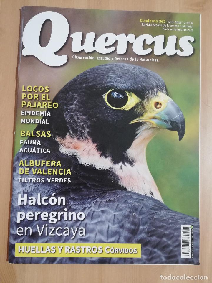 Collezionismo di Riviste e Giornali: REVISTA QUERCUS N&ordm; 362 (ABRIL 2016) OBSERVACI&Oacute;N, ESTUDIO Y DEFENSA DE LA NATURALEZA