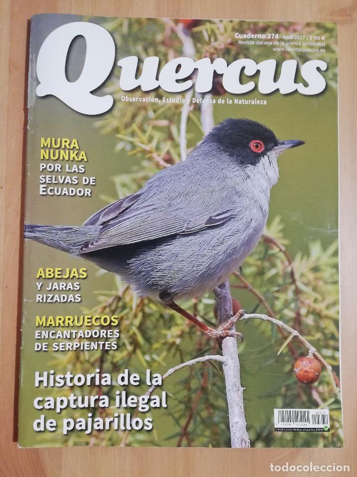 Collezionismo di Riviste e Giornali: REVISTA QUERCUS N&ordm; 374 (ABRIL 2017) OBSERVACI&Oacute;N, ESTUDIO Y DEFENSA DE LA NATURALEZA