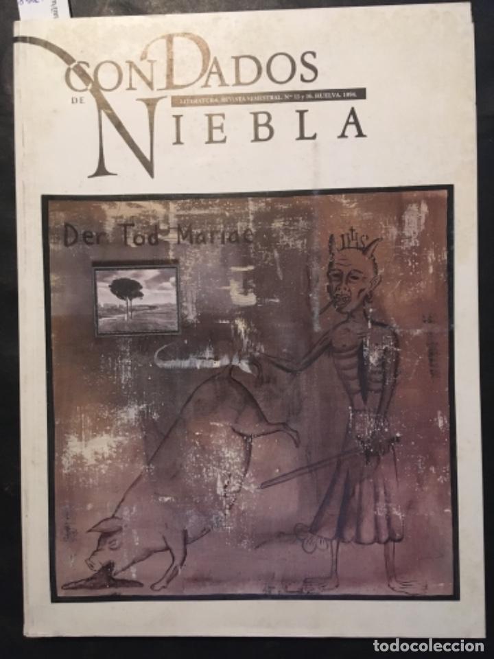 Collezionismo di Riviste e Giornali: REVISTA LITERATURA, CONDADOS DE NIEBLA, NUMERO 15 Y 16, 1994