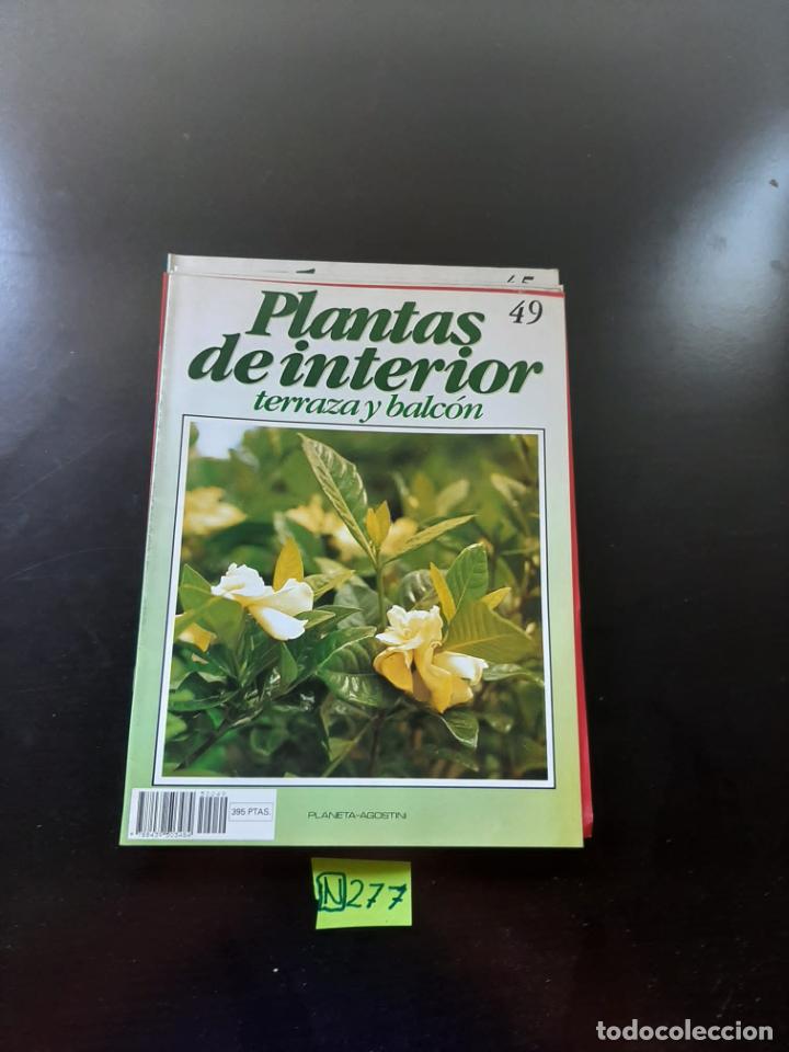 Sammeln von Zeitschriften und Zeitungen: Plantas de interior