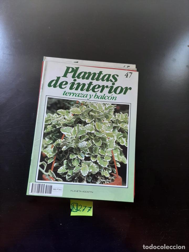 Coleccionismo de revistas y peri&oacute;dicos: Plantas de interior - Foto 1