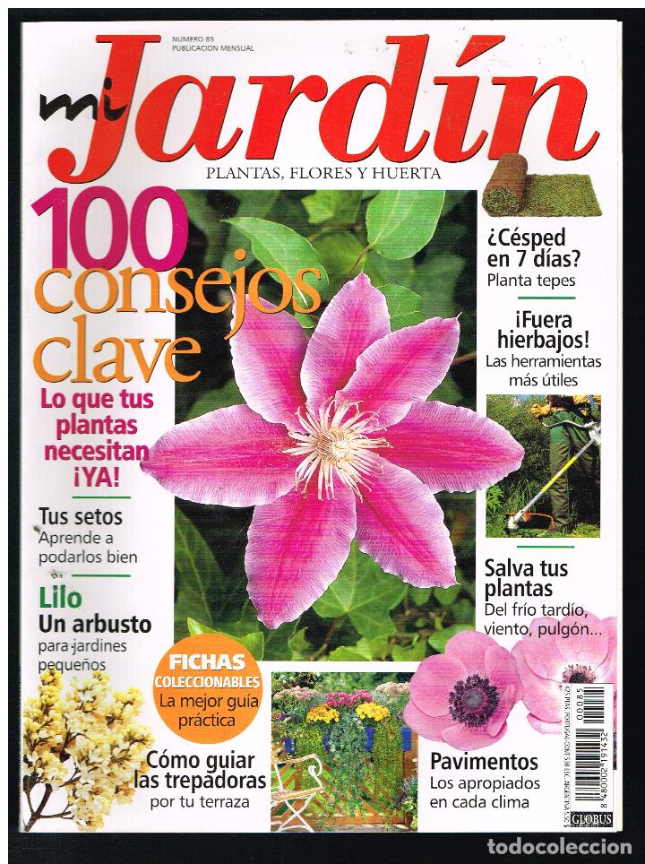 Collectionnisme de Revues et Journaux: Revista MI JARDIN. Plantas, flores y huerta. N&ordm; 85 (Completa tu colecci&oacute;n) (Ver contenido en foto)