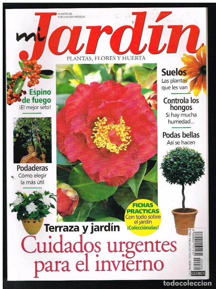 Collectionnisme de Revues et Journaux: Revista MI JARDIN. Plantas, flores y huerta. N&ordm; 80 (Completa tu colecci&oacute;n) (Ver contenido en foto)