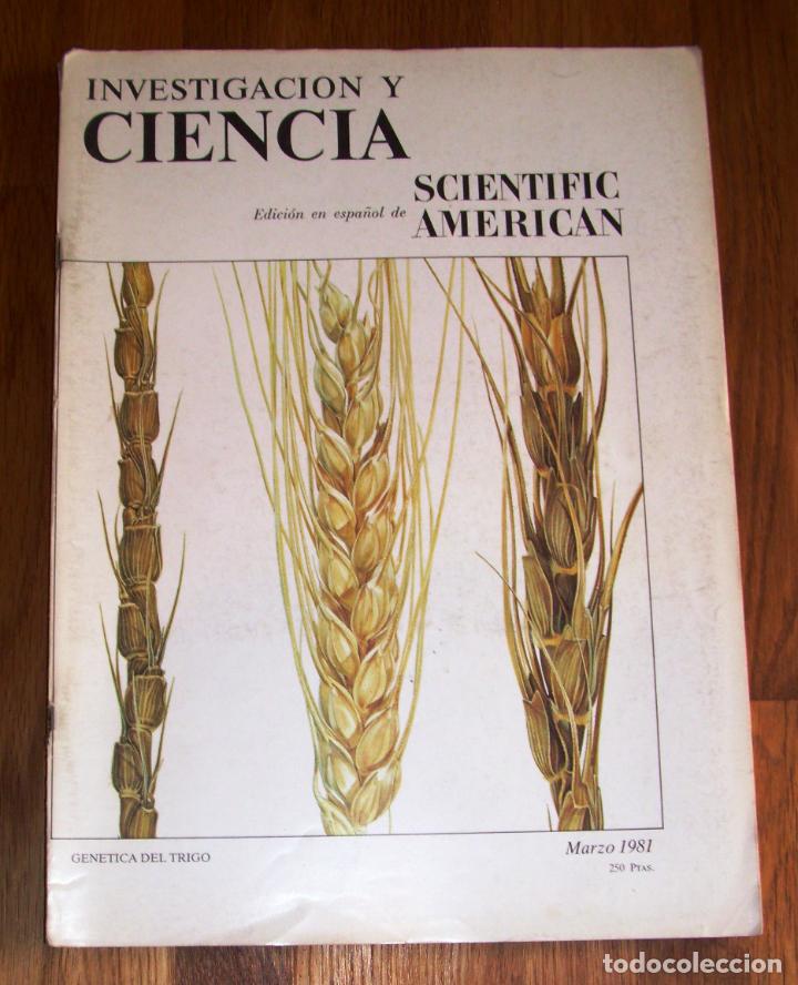 Collezionismo di Riviste e Giornali: INVESTIGACI&Oacute;N Y CIENCIA : Edici&oacute;n en espa&ntilde;ol de Scientific American. N&ordm; 54, Marzo 1981 : Gen&eacute;tica de