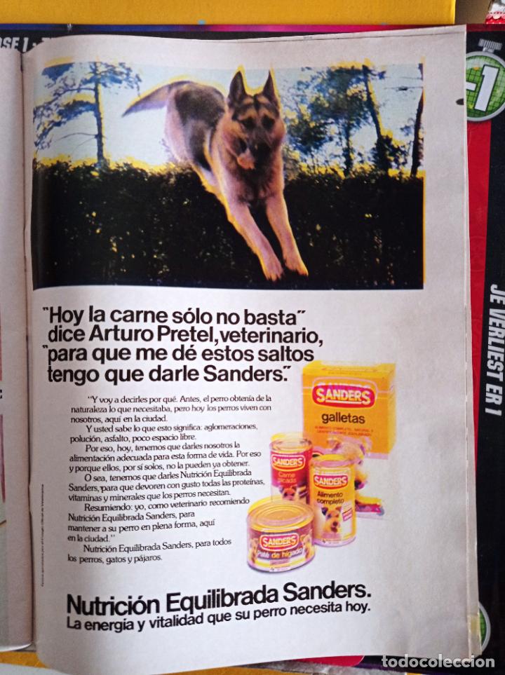 Coleccionismo de revistas y peri&oacute;dicos: anuncio sanders alimento para mascotas