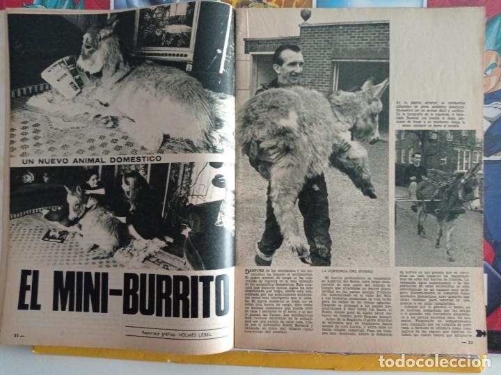 Colecionismo de Revistas e Jornais: EL MINI BURRO