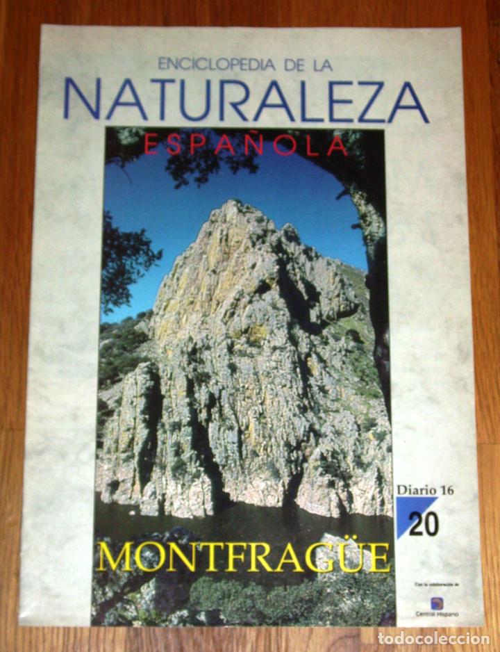 Collezionismo di Riviste e Giornali: ENCICLOPEDIA DE LA NATURALEZA ESPA&Ntilde;OLA. 20 : Montfrag&uuml;e / Diario 16