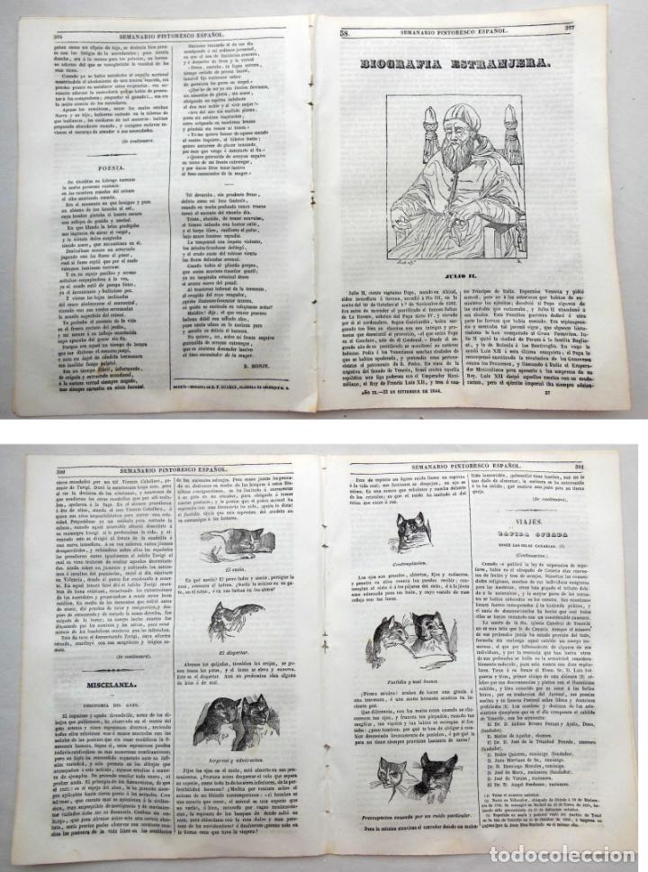 Colecionismo de Revistas e Jornais: SEMANARIO PINTORESCO ESPA&Ntilde;OL.N&ordm; 38, 1844. Xilograf&iacute;as: Julio II; Fisonom&iacute;a del gato.