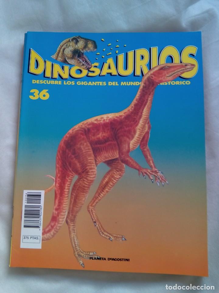 Collection Magazines and Newspapers: DINOSAURIOS. DESCUBRE LOS GIGANTES DEL MUNDO PREHIST&Oacute;RICO. N&ordm;36 / PLANETA D'AGOSTINI