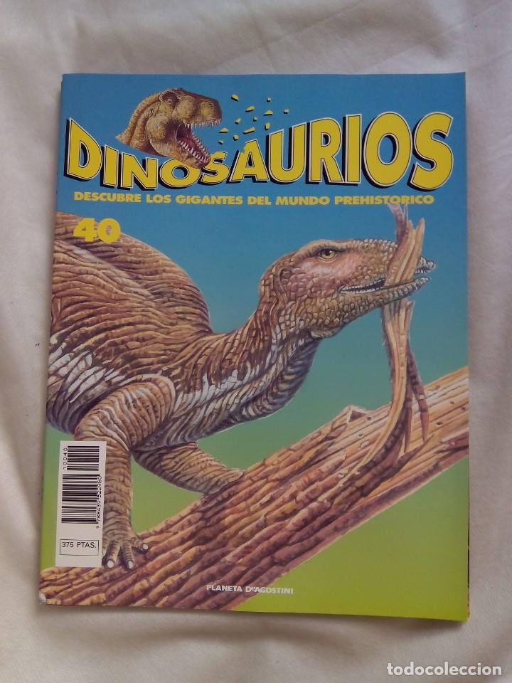 Collection Magazines and Newspapers: DINOSAURIOS. DESCUBRE LOS GIGANTES DEL MUNDO PREHIST&Oacute;RICO. N&ordm;40 / PLANETA D'AGOSTINI