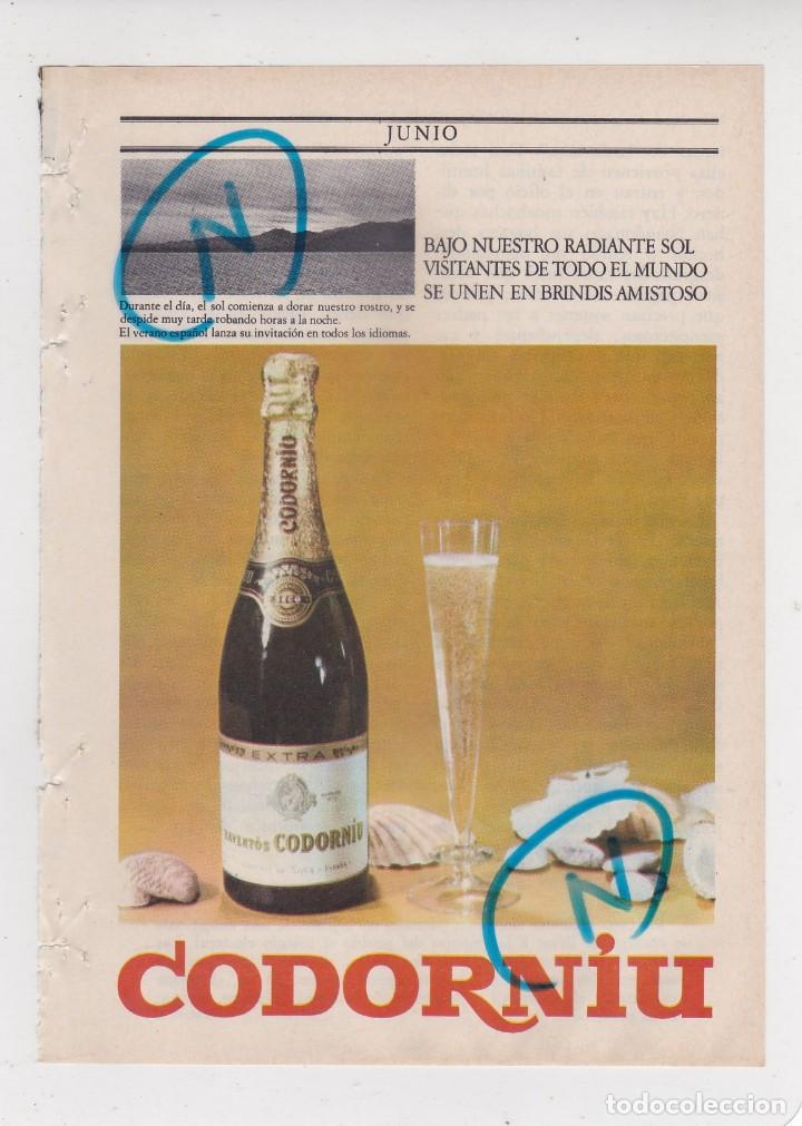 Coleccionismo de revistas y peri&oacute;dicos: PUBLICIDAD T 1969. ANUNCIO CODORNIU